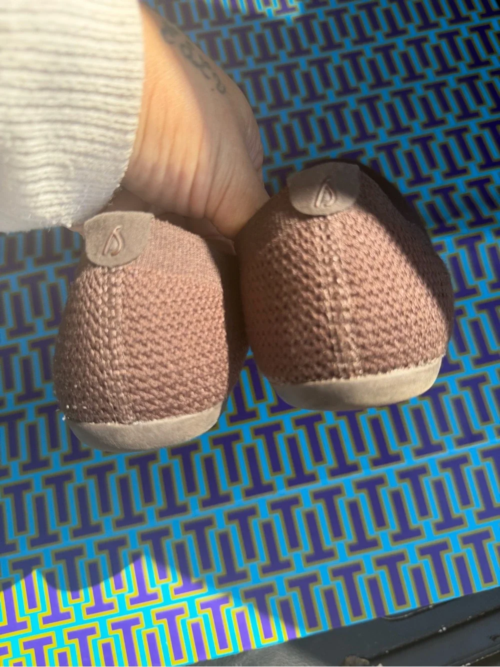 allbirds comfortable knit